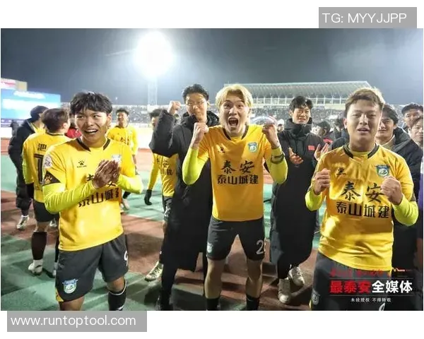 为什么本垒板后方的挡网设计必须兼顾安全性与球迷的观赛视野