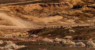 《剑网2》热汤会友·跨服争锋·豪礼纵横江